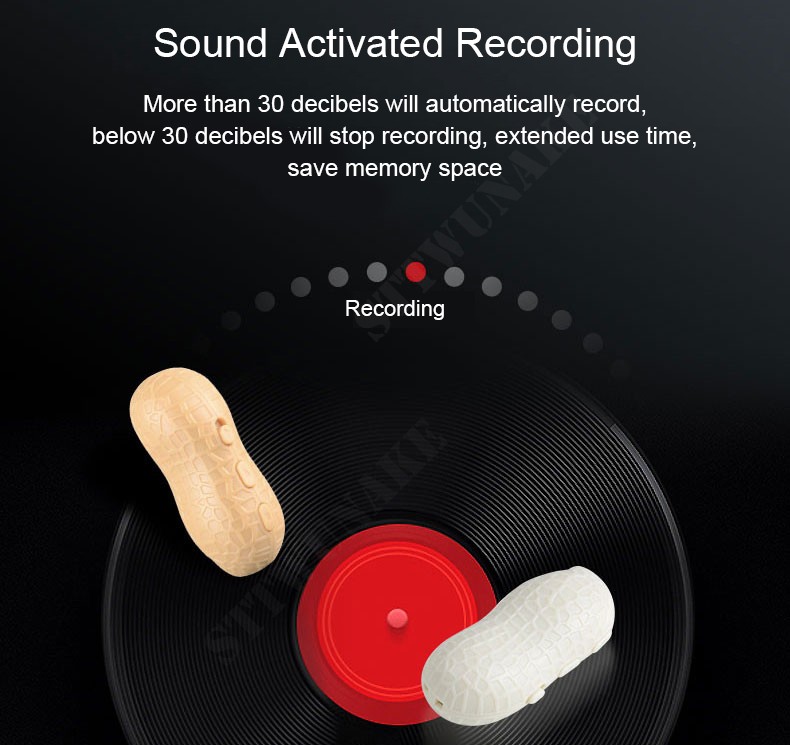 snemalnik zvoka in zvoka - zvočno aktivirano snemanje
