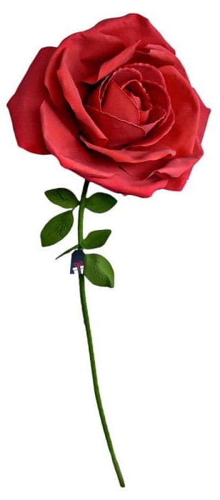 XXL velika vrtnica - Vrtnice kot darilo za žensko