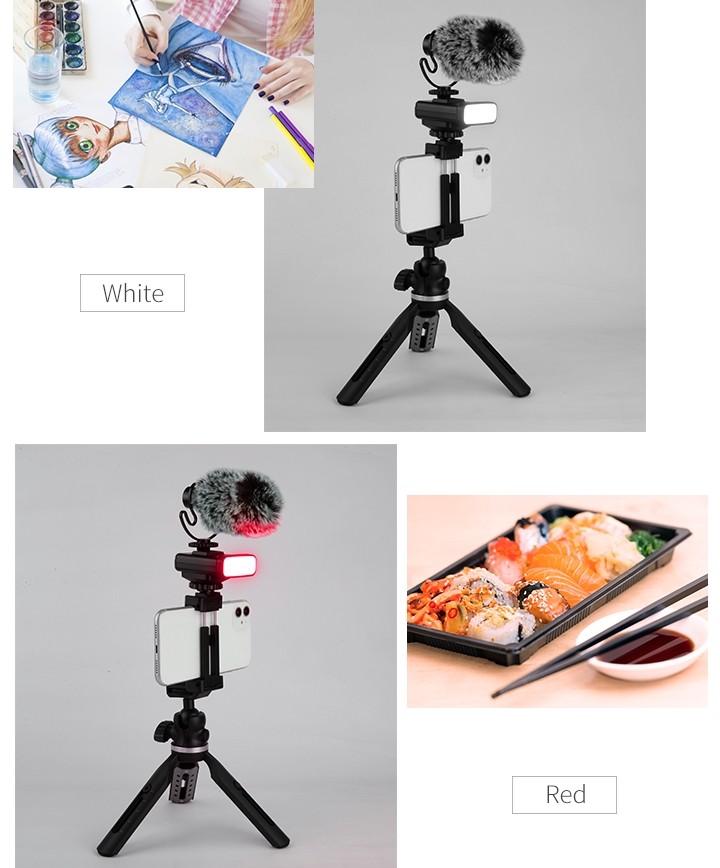 stativ za mobilni telefon (nosilec za selfie) + mikrofon in lučka