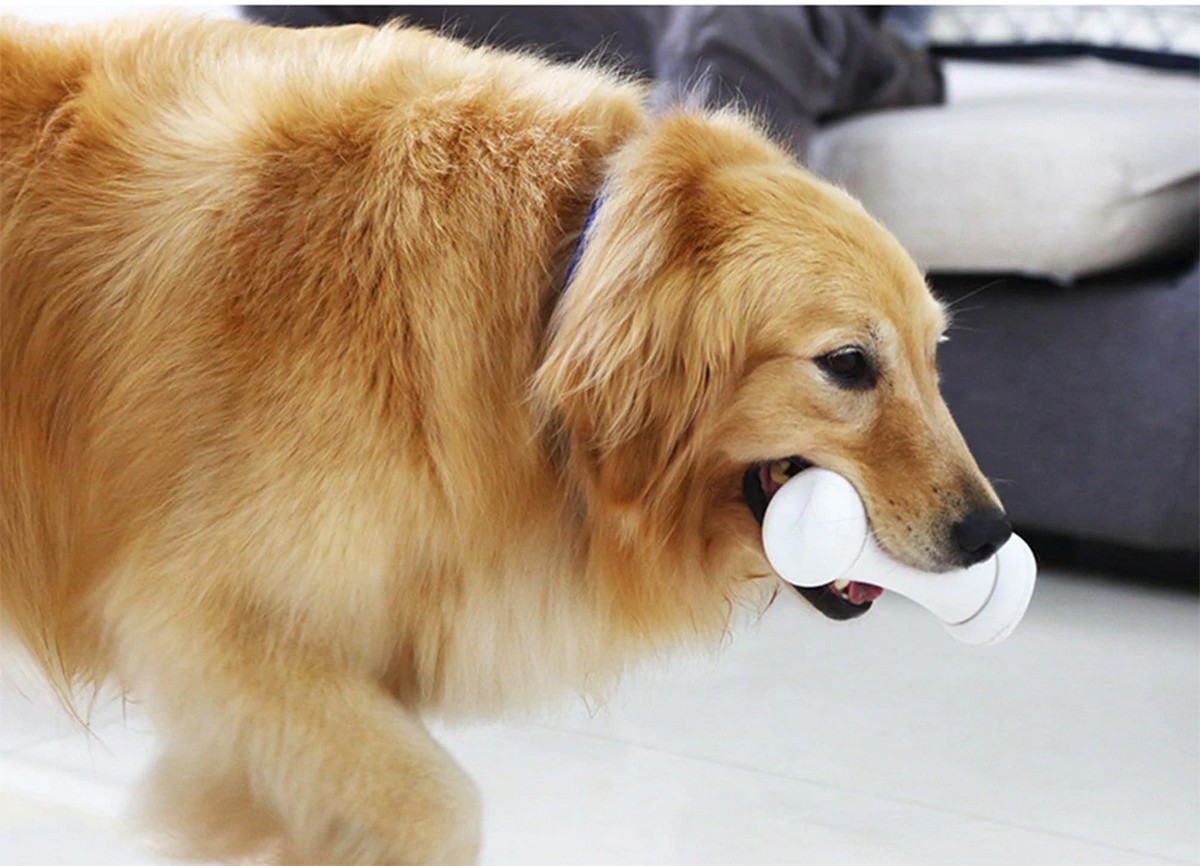pametna kostna igračka za pse zlobne kosti